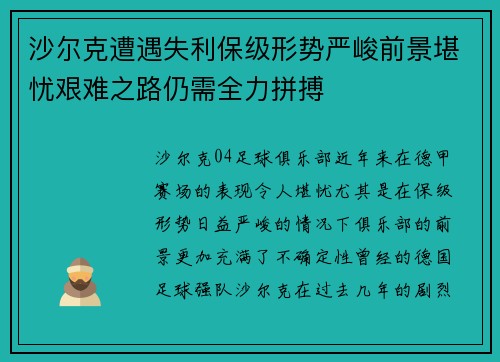沙尔克遭遇失利保级形势严峻前景堪忧艰难之路仍需全力拼搏