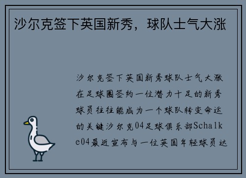 沙尔克签下英国新秀,球队士气大涨
