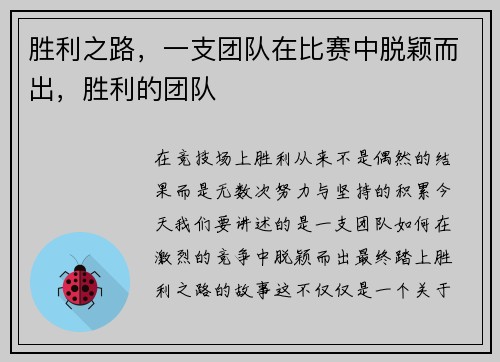 胜利之路,一支团队在比赛中脱颖而出,胜利的团队