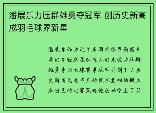 潘展乐力压群雄勇夺冠军 创历史新高成羽毛球界新星